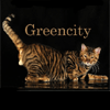 Питомник «Greencity»